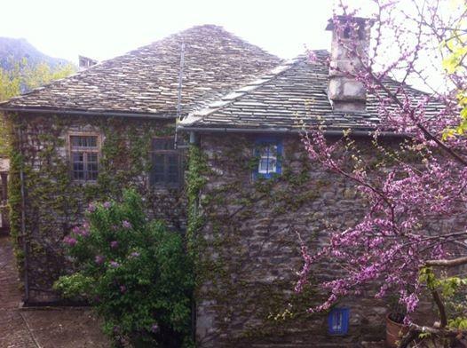 Saxonis Houses & Saxonis Villa Papigko Exterior photo